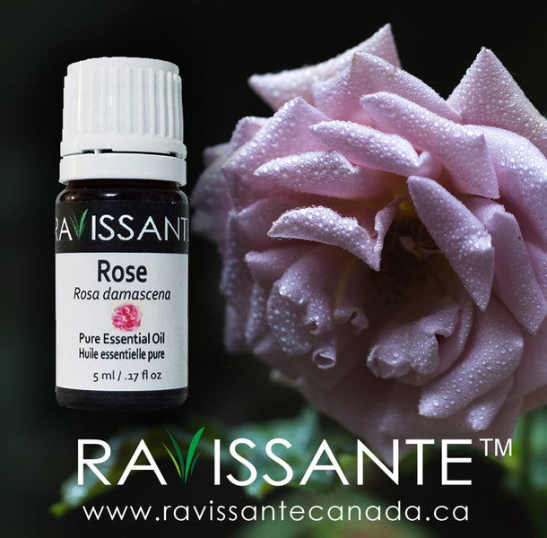 Rose Oil Types