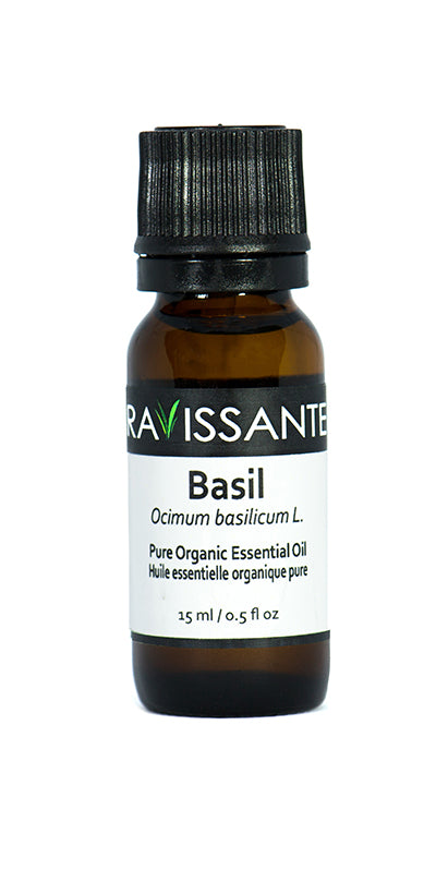 Basil Organic Essential Oil – 15 ml