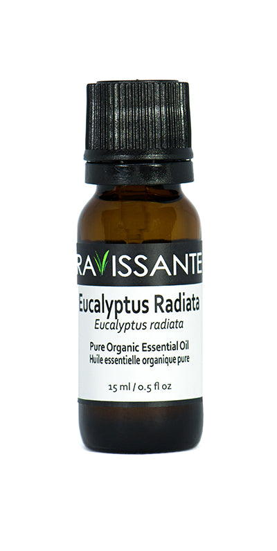 Eucalyptus Radiata Organic Essential Oil - 15 ml