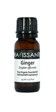 Ginger Organic Essential Oil – 15 ml