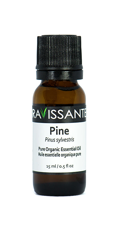 Pine Organic Essential Oil - 15 ml