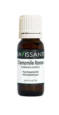 Chamomile Roman Essential Oil - 2 sizes avail (5 ml and 15 ml)