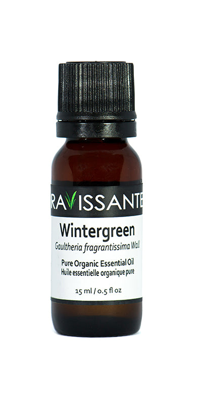Wintergreen Organic Essential Oil - 15 ml